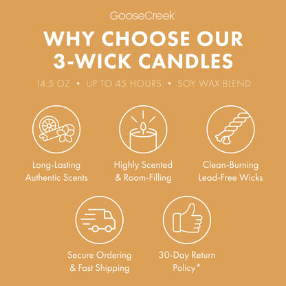 Vanilla Sands 3-Wick Candle