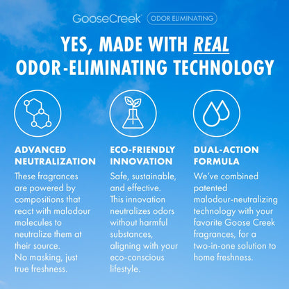 Watermelon Lemonade Odor Eliminating Room Spray